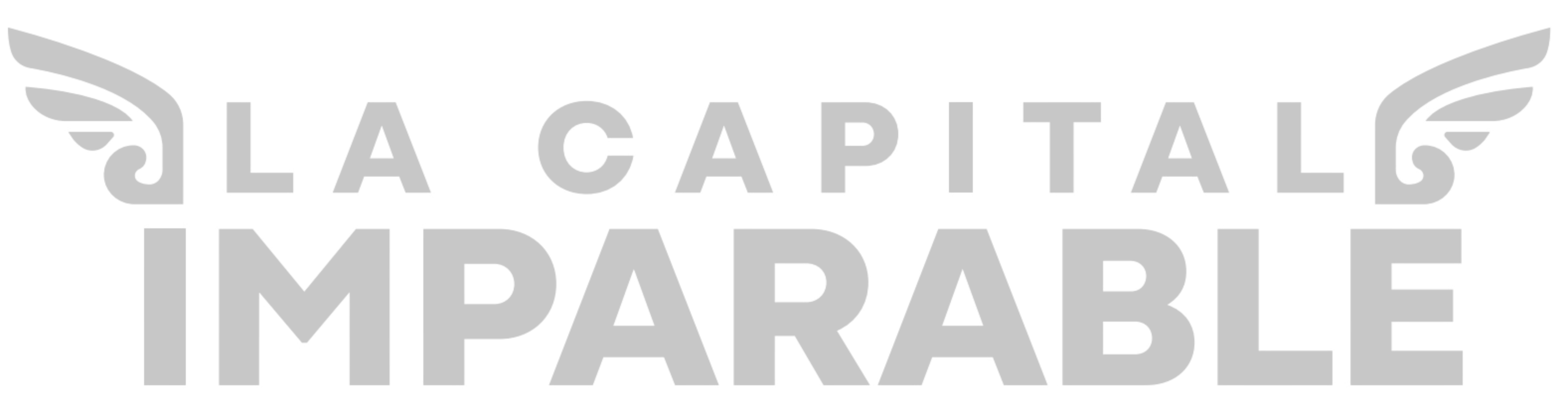 Logo Inferior